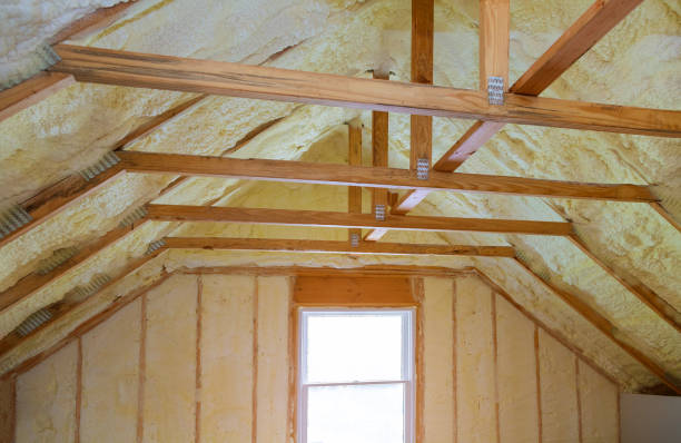Best Insulation Maintenance and Repair in Perryville, AR