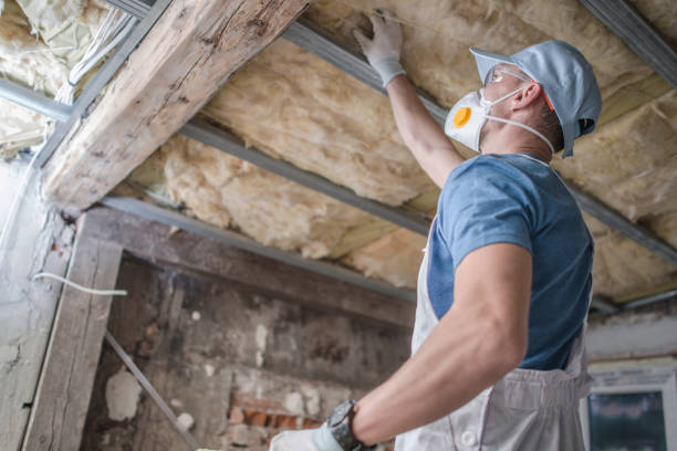 Best Insulation for Specific Applications in Perryville, AR