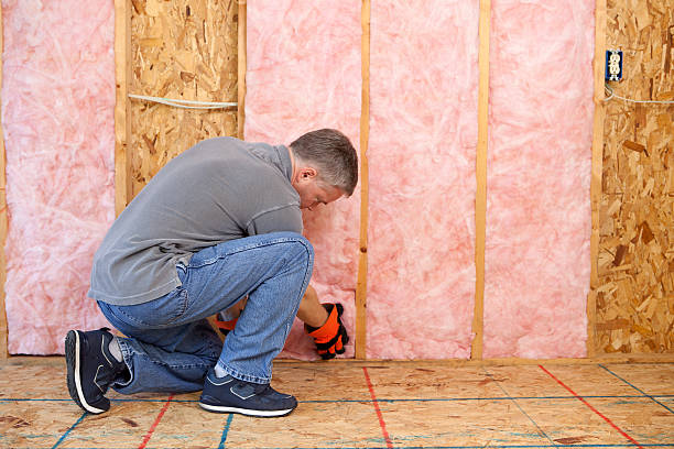 Best Insulation Maintenance and Repair in Perryville, AR